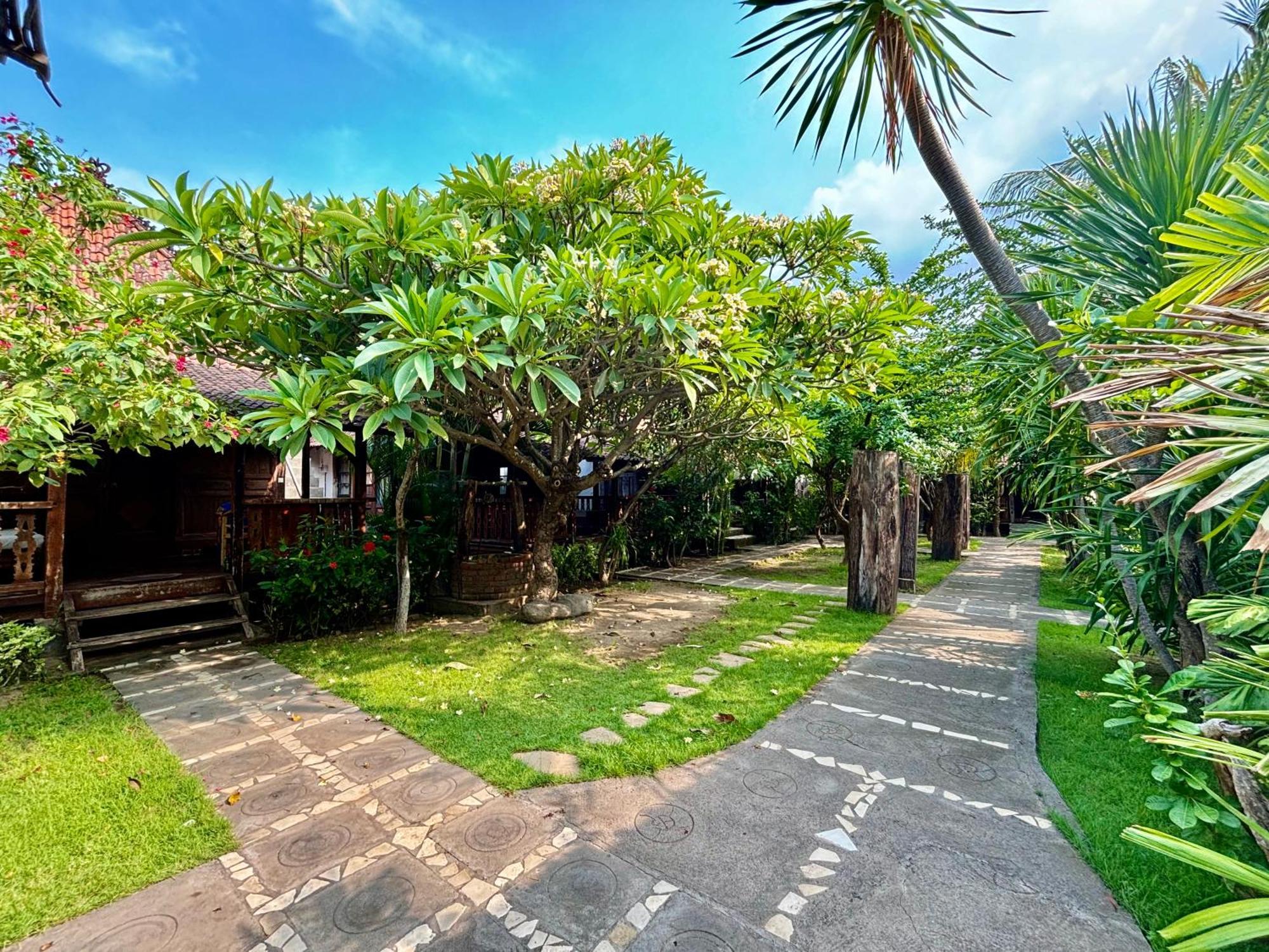 Classic Beach Villas Амед Екстер'єр фото